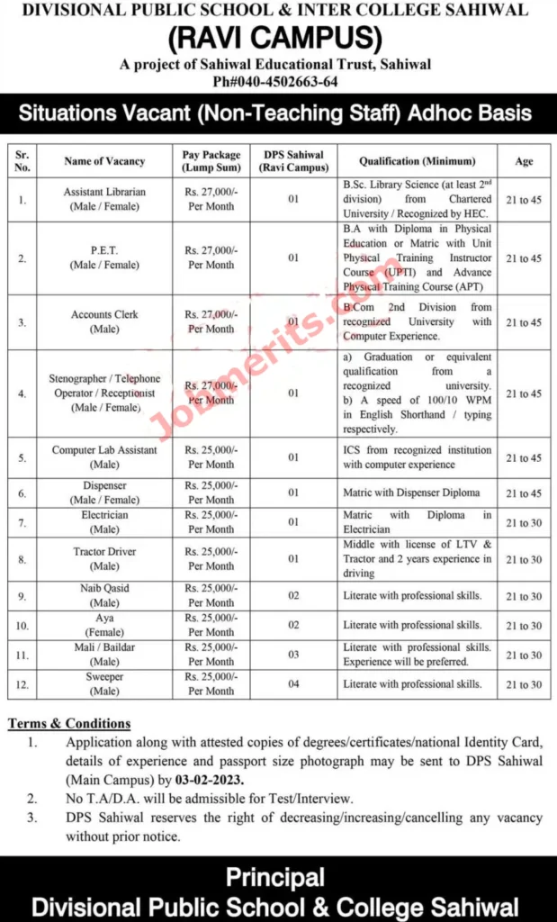 Divisional Public School DPS Sahiwal Jobs 2023