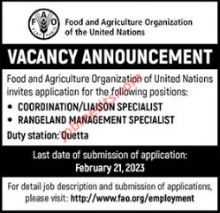 Food and Agriculture Organization FAO Jobs 2023